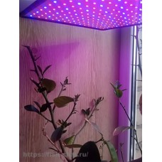 Фитолампа LED Grow Light для выращивания растений 150вт, 169 светодиодов